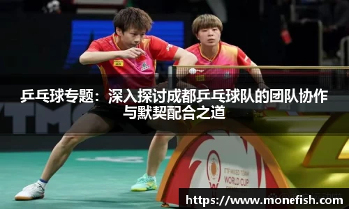 乒乓球专题：深入探讨成都乒乓球队的团队协作与默契配合之道